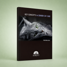 Key concepts in senior cat...