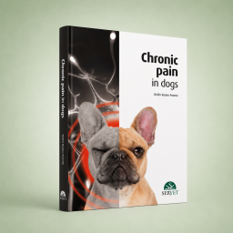 Chronic Pain in Dogs