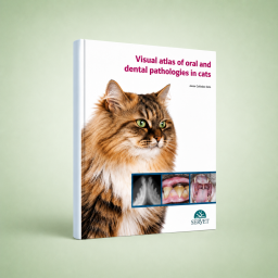 Visual Atlas of Oral and...