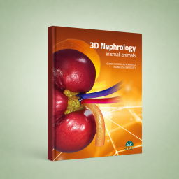 3D Nephrology in small animals
