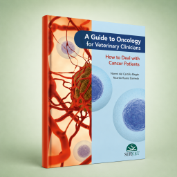 A Guide to Oncology for...