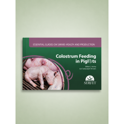 Colostrum feeding in...
