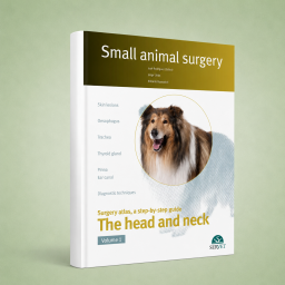 The head and neck. Vol. I -...