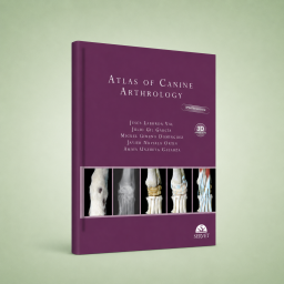 Atlas of canine arthrology....