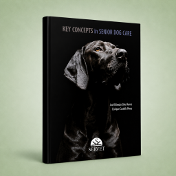 Key concepts in senior dog...
