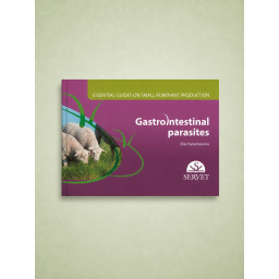Essential Guides on Small...