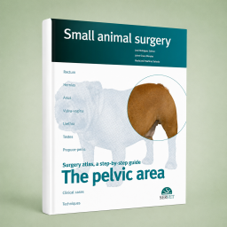 The Pelvic Area. Small...
