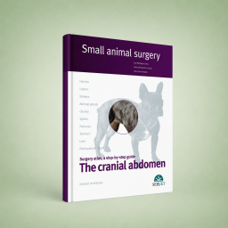 The cranial abdomen. Small...