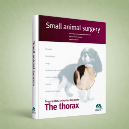 The Thorax. Small animal...