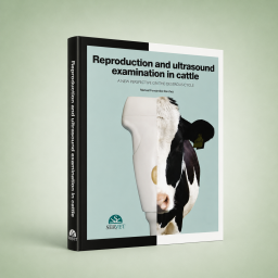 Reproduction and ultrasound...