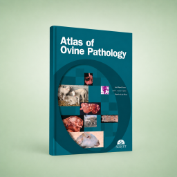 Atlas of Ovine Pathology