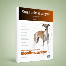 Bloodless surgery. Small...
