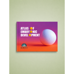 Atlas of Embryonic Development