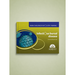 Infectious Bursal Disease. Main challenges in poultry farming - Veterinary book -  cover book