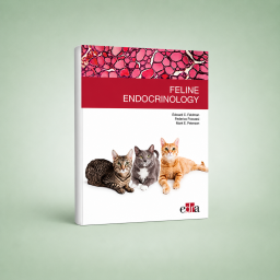 Feline endocrinology - Feldman Peterson Fracassi - Book Cover - Veterinary Book