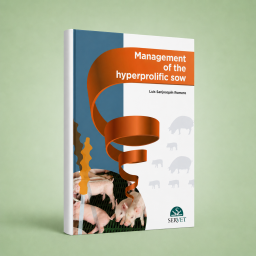 Management of the hyperprolific sow - Veterinary book - cover book - Luis Sanjoaquín Romero - 9788416818501