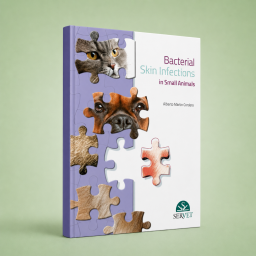 Bacterial skin infection in small animals - Veterinary book - cover book - Alberto Martin Cordero - 9788417640699