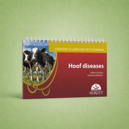 Hoof diseases. Essential Guides on Cattle Farming - Veterinary book - cover book - Adrián González Sagüés - 9788416818563