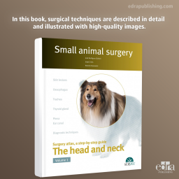 The head and neck. Vol. I - Small animal surgery - Book Cover - Veterinary Book
