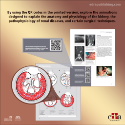 3D Nephrology in small animals - book details - veterinary book - 9788417225339