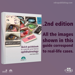 Quick guidebook to canine and feline ophthalmology - 2nd edition - Book details - Veterinary Book