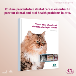 Visual Atlas of Oral and Dental Pathologies in Cats - Book details - Veterinary book