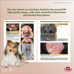 Visual Atlas of Oral Pathologies in Dogs - Book details - veterinary book