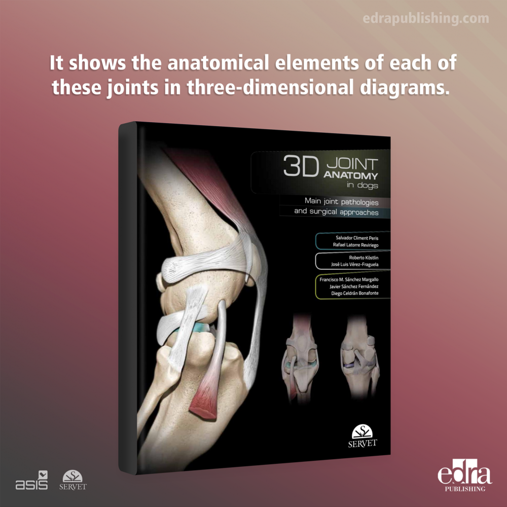 3D Joint Anatomy in Dogs. Main joint pathologies and surgical approaches - book details - veterinary book
