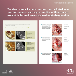 3D Joint Anatomy in Dogs. Main joint pathologies and surgical approaches - book details - veterinary book