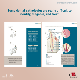 Visual Atlas of Oral and Dental Pathologies in Cats - Book details - Veterinary book