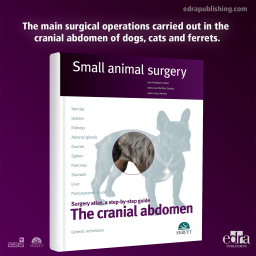 The cranial abdomen. Small animal surgery - book cover - veterinary book