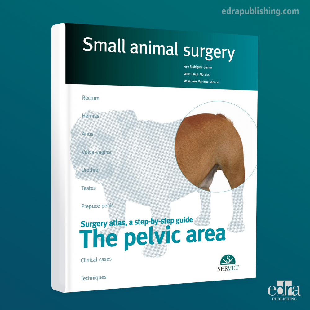 The Pelvic Area. Small animal surgery - book details - veterinary book