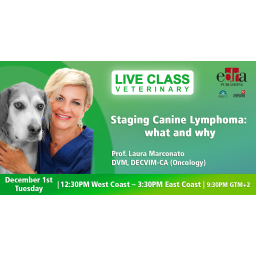 Staging canine lymphoma: what and why - veterinary webinar - veterinary class - veterinary continuing education