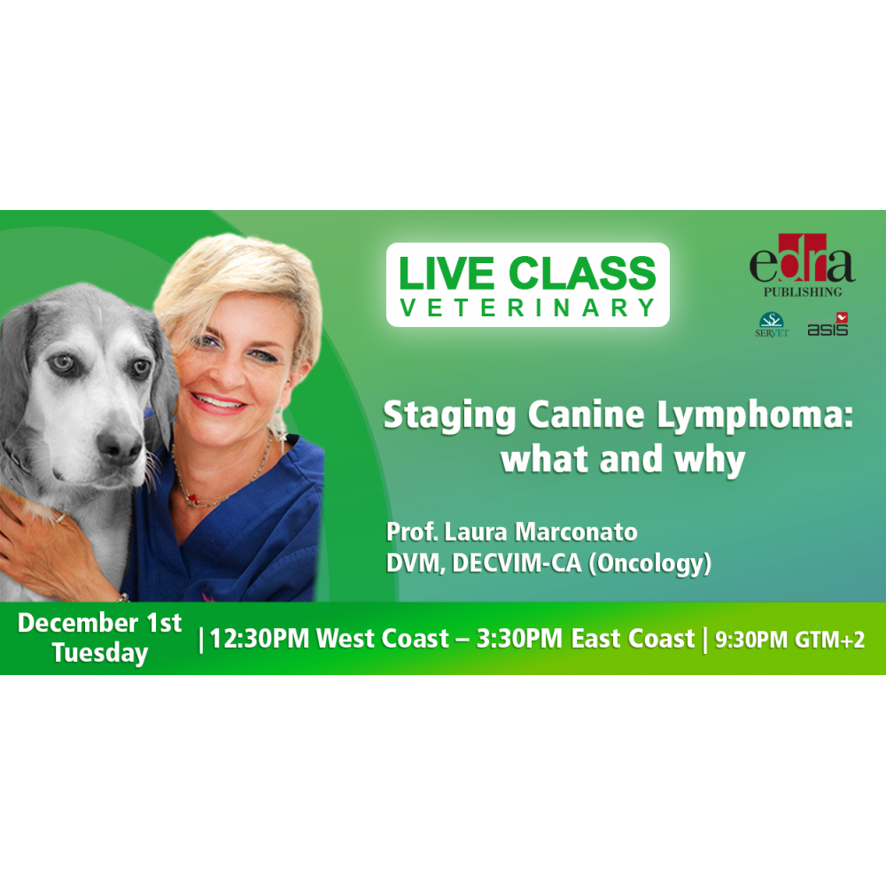 Staging canine lymphoma: what and why - veterinary webinar - veterinary class - veterinary continuing education
