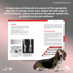 Chronic Pain in Dogs - Book Cover- Veterinary Book - Dogs - Belén Ruano Puente