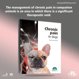 Chronic Pain in Dogs - Book Cover- Veterinary Book - Dogs - Belén Ruano Puente