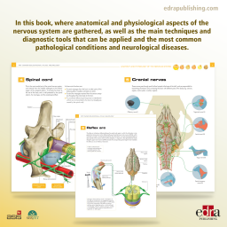 Pet Owner Educational Atlas. Neurology - Veterinary book - Book Extract - Juan José Mínguez Molina