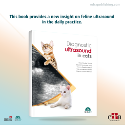 Diagnostic Ultrasound in Cats - Book Details - Veterinary Book - 9788416315468