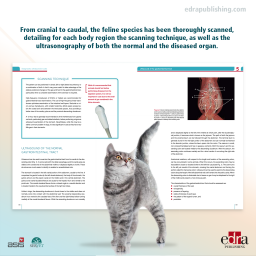 Diagnostic Ultrasound in Cats - Book Details - Veterinary Book - 9788416315468