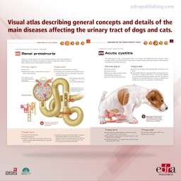 Pet owner educational atlas. Nephrology and Urology - Book Cover - Veterinary Book - Shelly Vaden - 9788417640231