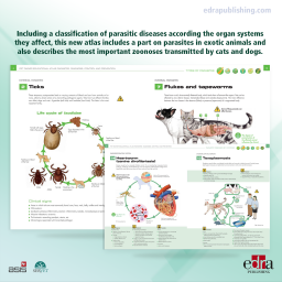 Pet Owner Educational Atlas. Parasites Diagnosis - Veterinary Book