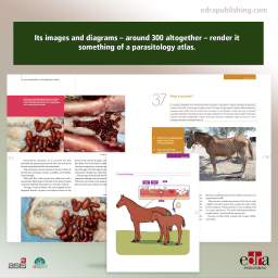 50 Q&A about Parasitic Infections of Horses - book details - veterinary book