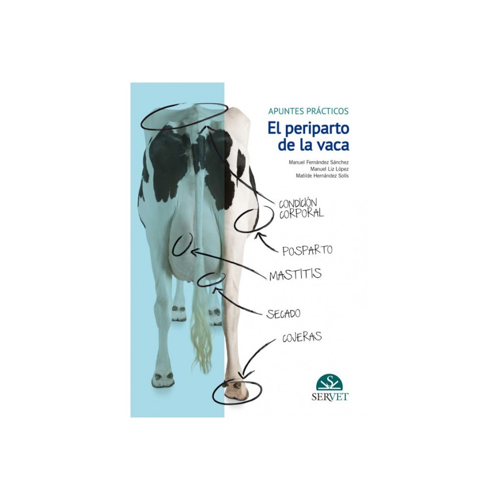 El periparto de la vaca: apuntes prácticos