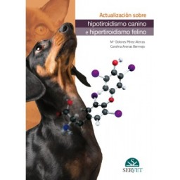 Actualización sobre hipotiroidismo canino e hipertiroidismo felino