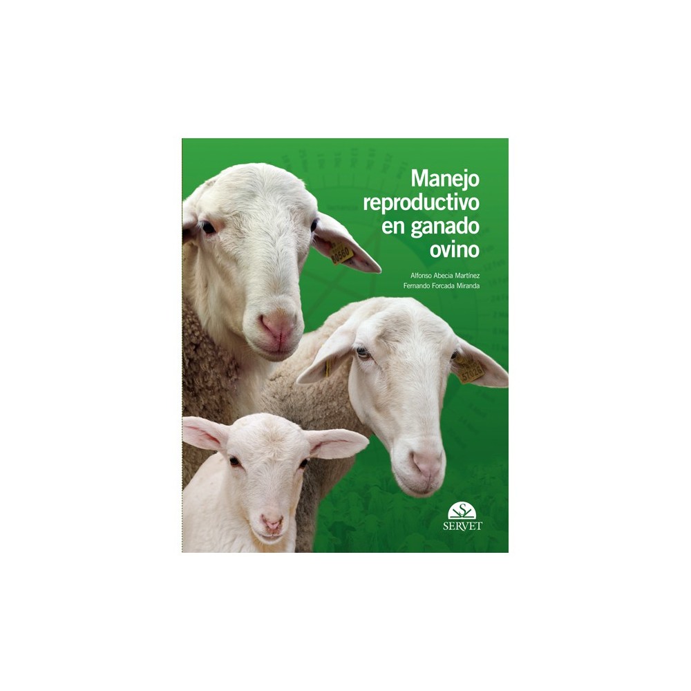 Manejo reproductivo en ganado ovino
