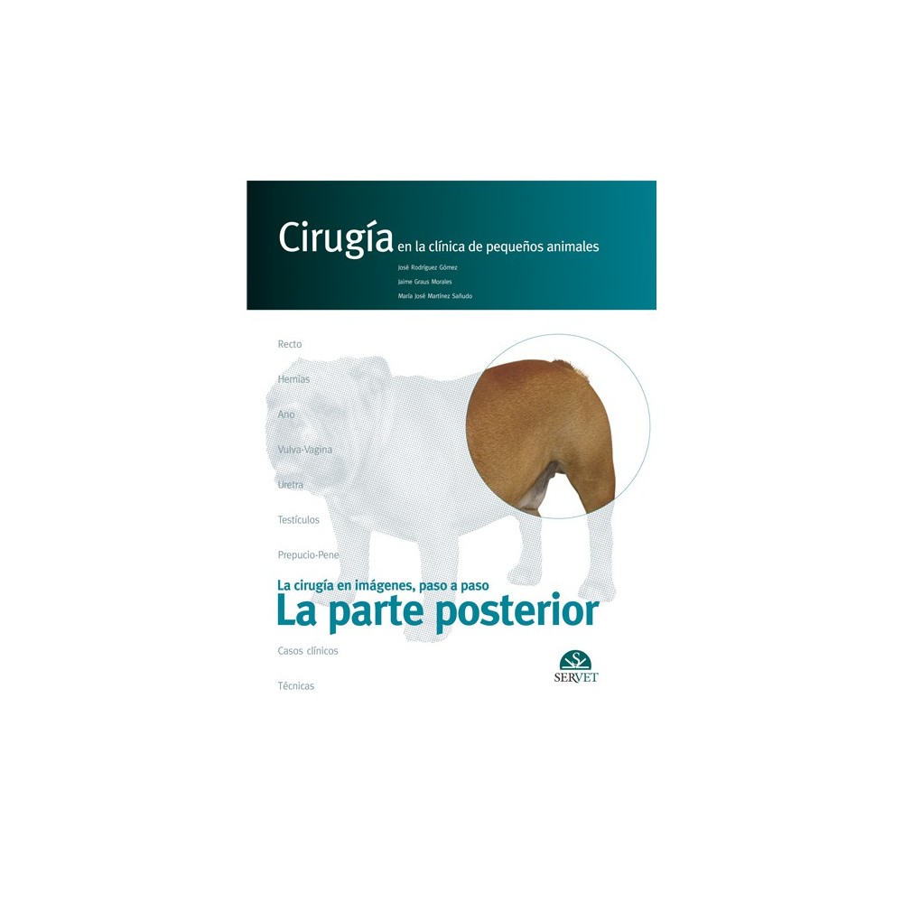 La parte posterior. Cirugía en la clínica de pequeños animales