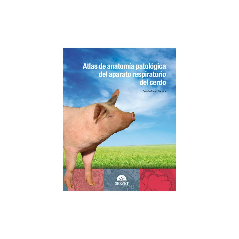 Atlas de anatomía patológica del aparato respiratorio del cerdo