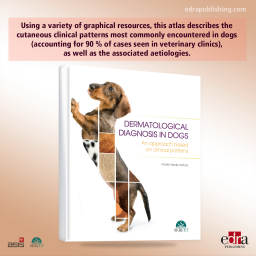 Dermatologic Diagnosis in Dogs. An Approach Based on Clinical Patterns - book cover - veterinary book