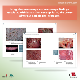 Atlas of anatomical pathology
of the gastrointestinal system of
swine - book extract 2 - veterinary book
