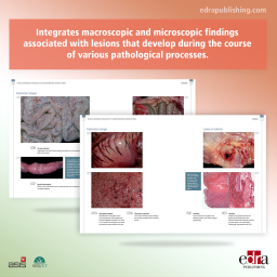 Atlas of anatomical pathology
of the gastrointestinal system of swine - book extract 2 - veterinary book